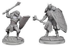 Dragonborn Clerics